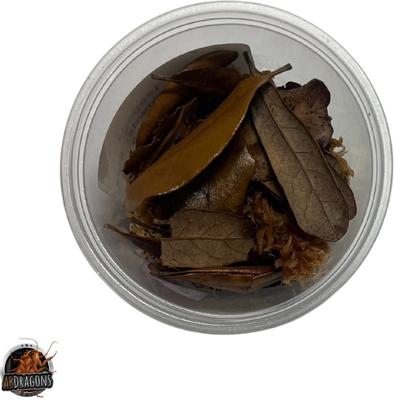 Show full view: ABDragons Powder Blue Isopods Live Reptile Food, 25 Count slide 3 of 3