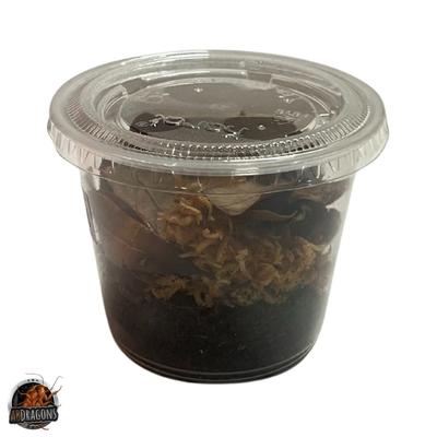 Show full view: ABDragons Powder Blue Isopods Live Reptile Food, 25 Count slide 2 of 3