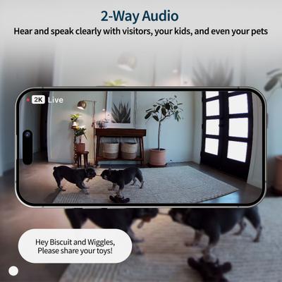 Show full view: Arlo Essential Indoor Dog & Cat Camera slide 6 of 11
