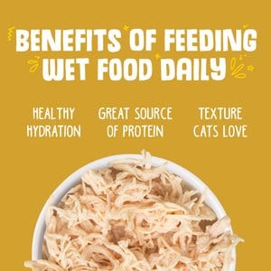 Weruva Paw Lickin' Chicken in Gravy Grain-Free Wet Cat Food, 3-oz can, case of 4