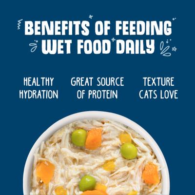 Show full view: Weruva Grandma's Chicken Soup Chicken & Pumpkin in Gravy Grain-Free Wet Cat Food, 3-oz can, case of 4 slide 4 of 11