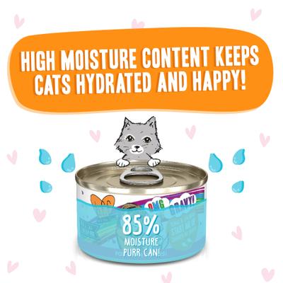 Show full view: BFF OMG Start Me Up! Tuna & Salmon Flavor Minced Grain-Free Wet Cat Food, 2.8-oz can, case of 4 slide 6 of 13