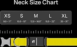 Fi Series 3+ Smart Dog Collar, Blue, X-Small slide 2 of 9