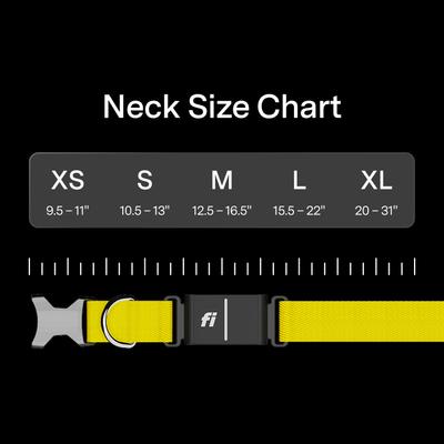 Show full view: Fi Series 3+ Smart Dog Collar, Gray, Small slide 9 of 12