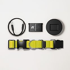 Fi Series 3+ Smart Dog Collar, Blue, Large slide 2 of 9