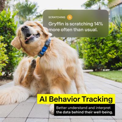 Show full view: Fi Series 3+ Smart Dog Collar, Gray, Small slide 6 of 12