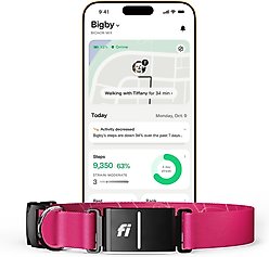 Fi Series 3+ Smart Dog Collar, Pink, Medium