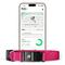 Show in main carousel: Fi Series 3+ Smart Dog Collar, Pink, Medium slide 1 of 11
