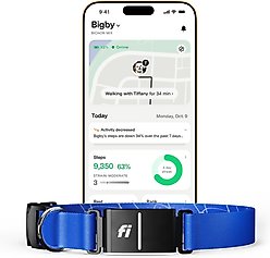 Fi Series 3+ Smart Dog Collar, Blue, Large slide 1 of 9