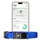 Show in main carousel: Fi Series 3+ Smart Dog Collar, Blue, Large slide 1 of 12