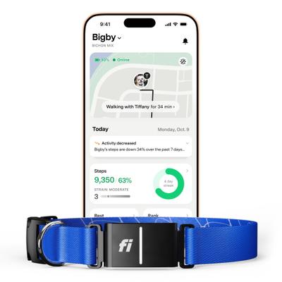 Show full view: Fi Series 3+ Smart Dog Collar, Blue, Large slide 1 of 12