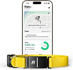 Fi Series 3+ Smart Dog Collar, Yellow, Large