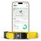Show in main carousel: Fi Series 3+ Smart Dog Collar, Yellow, Large slide 1 of 11