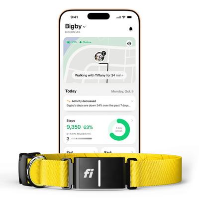 Show full view: Fi Series 3+ Smart Dog Collar, Yellow, Large slide 1 of 11