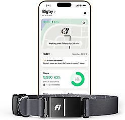 Fi Series 3+ Smart Dog Collar, Gray, Medium