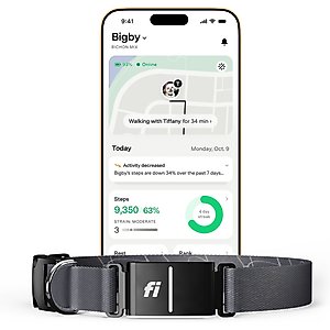 Fi Series 3+ Smart Dog Collar, Gray, Medium
