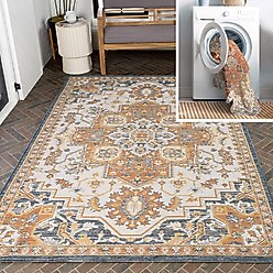 JONATHAN Y Bijan Traditional Vintage Medallion Reversible Machine-Washable Indoor/Outdoor Area Rug, Terra/Blue/Cream, 3' x 5'
