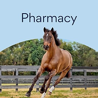 Pharmacy