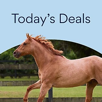 Today's Deals