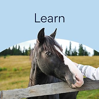 Learn