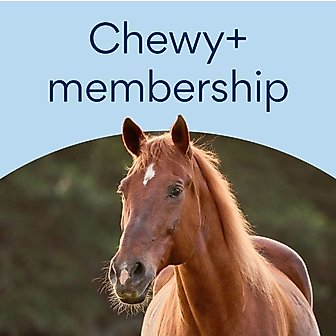 Chewy Plus