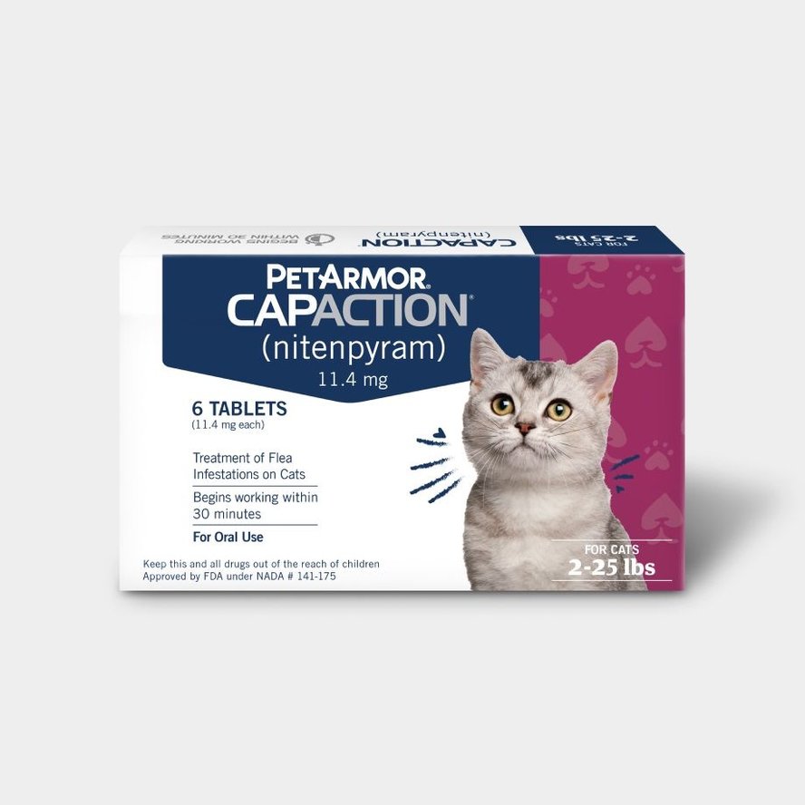 Best Tick & Flea Treatment & Medicine for Cats (Free Shipping) | Chewy - Flea And Tick Medication For Cats With Muscle Weakness