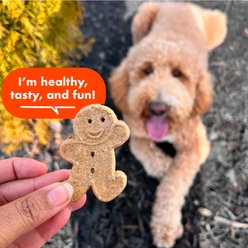 Buddy Biscuits with Peanut Butter Oven Baked Dog Treats, 3.5-lb bag slide 2 of 9