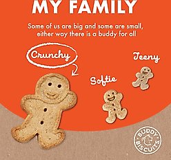 Buddy Biscuits with Peanut Butter Oven Baked Dog Treats, 16-oz box slide 2 of 9