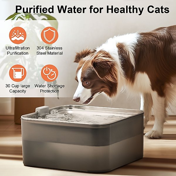 Show full view: FUKUMARU Stainless Steel Dog Water Fountain, 1.8-gal slide 2 of 7