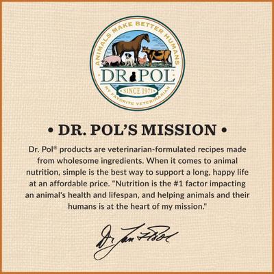 Show full view: Dr. Pol Healthy Songbird Blend Wild Bird Food, 10-lb bag slide 8 of 10