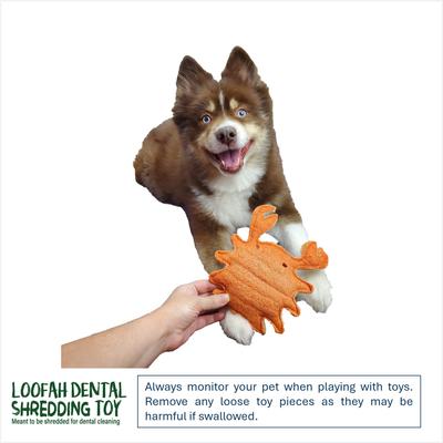 Show full view: Hip Doggie Loffah Crab Stuffing-Free Dog Chew Toy, Large slide 4 of 4