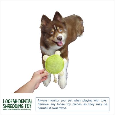 Show full view: Hip Doggie Loffah Turtle Stuffing-Free Dog Chew Toy, Large slide 4 of 4