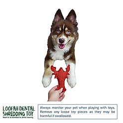 Hip Doggie Loffah Lobster Stuffing-Free Dog Chew Toy slide 2 of 4