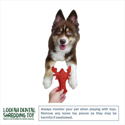 Show full view: Hip Doggie Loffah Lobster Stuffing-Free Dog Chew Toy slide 4 of 4