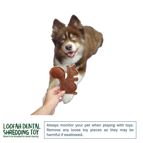 Hip Doggie Loffah Bone Stuffing-Free Dog Chew Toy