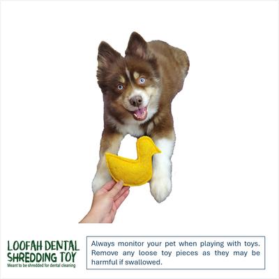 Show full view: Hip Doggie Loffah Duck Stuffing-Free Dog Chew Toy slide 5 of 5