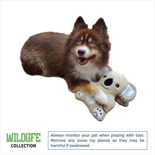 Show full view: DogStar Wildlife Kiki the Koala Squeaky Dog Plush Toy slide 2 of 5