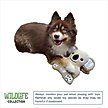 Show in main carousel: DogStar Wildlife Kiki the Koala Squeaky Dog Plush Toy slide 2 of 5