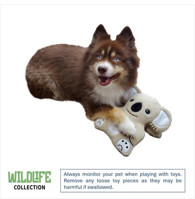 Show full view: DogStar Wildlife Kiki the Koala Squeaky Dog Plush Toy slide 2 of 5