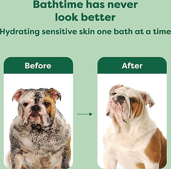 Show full view: Earth Rated 3-in-1 Soothing Dog Shampoo & Conditioner, White Tea & Basil Scent, 16-fl oz bottle slide 6 of 10
