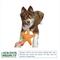 Show in main carousel: Hip Doggie Loffah Starfish Stuffing-Free Dog Chew Toy, Large slide 4 of 4