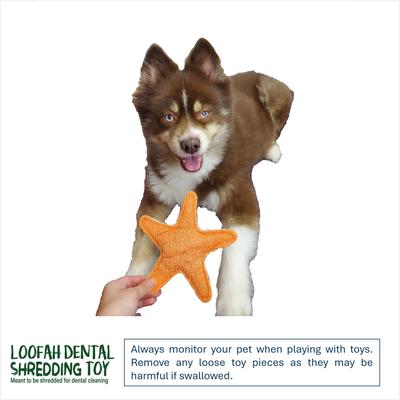 Show full view: Hip Doggie Loffah Starfish Stuffing-Free Dog Chew Toy, Large slide 4 of 4