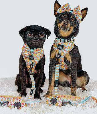 Show full view: Sassy Woof Good Duck, Babe! Adjustable Dog Harness, Blue, Small: 16 to 21-in chest slide 6 of 6