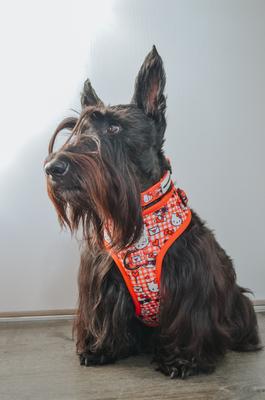 Show full view: Sassy Woof Hello Kitty Adjustable Dog Harness, Red, X-Large: 24 to 35-in chest slide 5 of 7