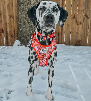 Show full view: Sassy Woof Hello Kitty Adjustable Dog Harness, Red, X-Large: 24 to 35-in chest slide 6 of 7