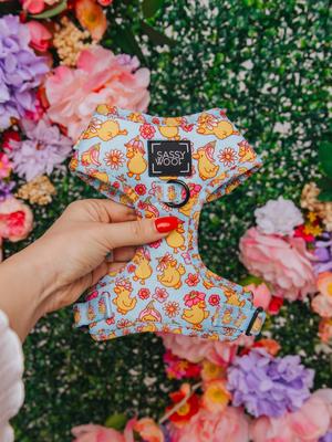 Show full view: Sassy Woof Good Duck, Babe! Adjustable Dog Harness, Blue, Small: 16 to 21-in chest slide 5 of 6