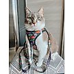 Show in main carousel: Sassy Woof Neon Frights Polyester Cat Leash, Black, 6-ft long, 0.6-in wide slide 4 of 4