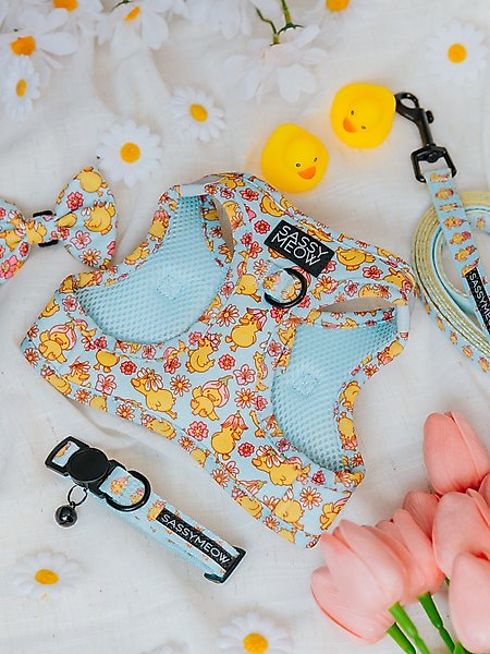 Show full view: Sassy Woof Good Duck, Babe! Step-In Cat Harness, Blue, Medium: 16 to 18-in chest slide 5 of 6