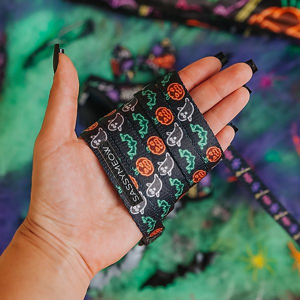 Show full view: Sassy Woof Neon Frights Polyester Cat Leash, Black, 6-ft long, 0.6-in wide slide 3 of 4