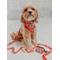 Show in main carousel: Sassy Woof Hello Kitty Polyester Dog Leash, Red, 5-ft long, 4/5-in wide slide 6 of 7